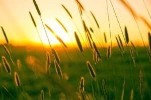 🌤️ Két hetes időjárási előrejelzés: meleg és zivatar