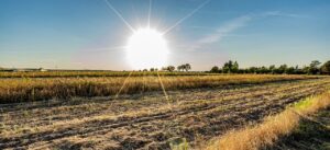 🌤️ Copernicus Éghajlatváltozási Szolgálat feljegyezte a legforróbb napot