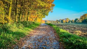 🌤️ Időjárási kilátások 2025. szeptember 18–24. között – 7 napos időjárás előrejelzés