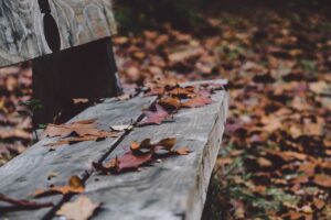 🌤️ Milyen időjárás várható novemberben?