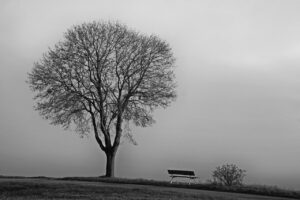 🌤️ Milyen időjárásra számíthatunk advent negyedik hétvégéjén?