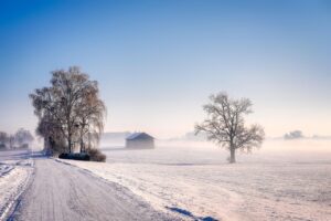 🌤️ A farkas nem eszi meg a telet! Február végi téli időjárás