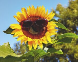 🌤️ Forró napok és elszórt záporok – így alakul az időjárás a következő egy hétben Romániában